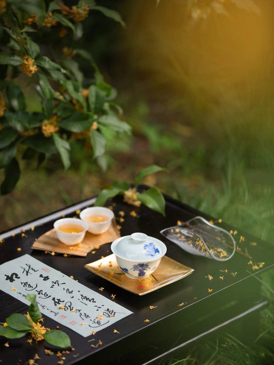 岁月不及时光长，思念爬满左心房。