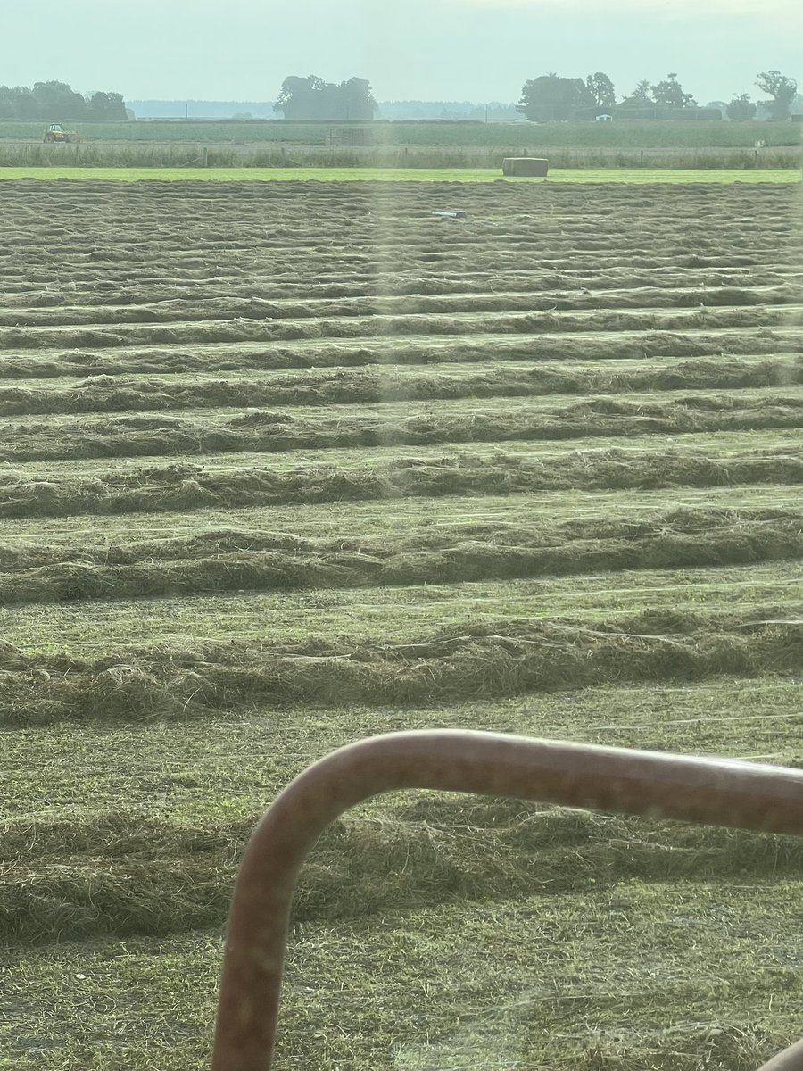 Matt McEvedy 🥝🌾🐑 tweet media