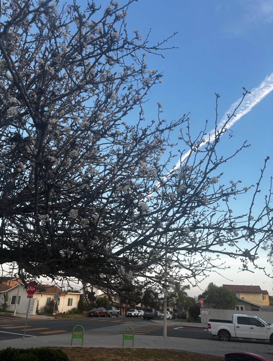 I had so much to eat on this Easter Sunday, it’s time to go for a nice walk. #SanDiego #California