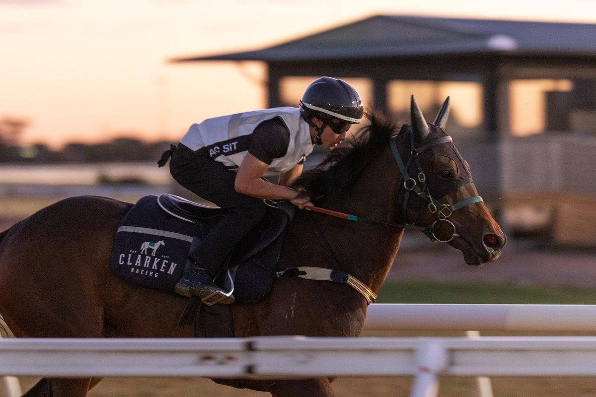 Oakbank | April 21

On debut today, Velvet Fox is our sole representative. She has prepared well for this Ben Price will take the reins in Race 1.

Good luck to her connections.
