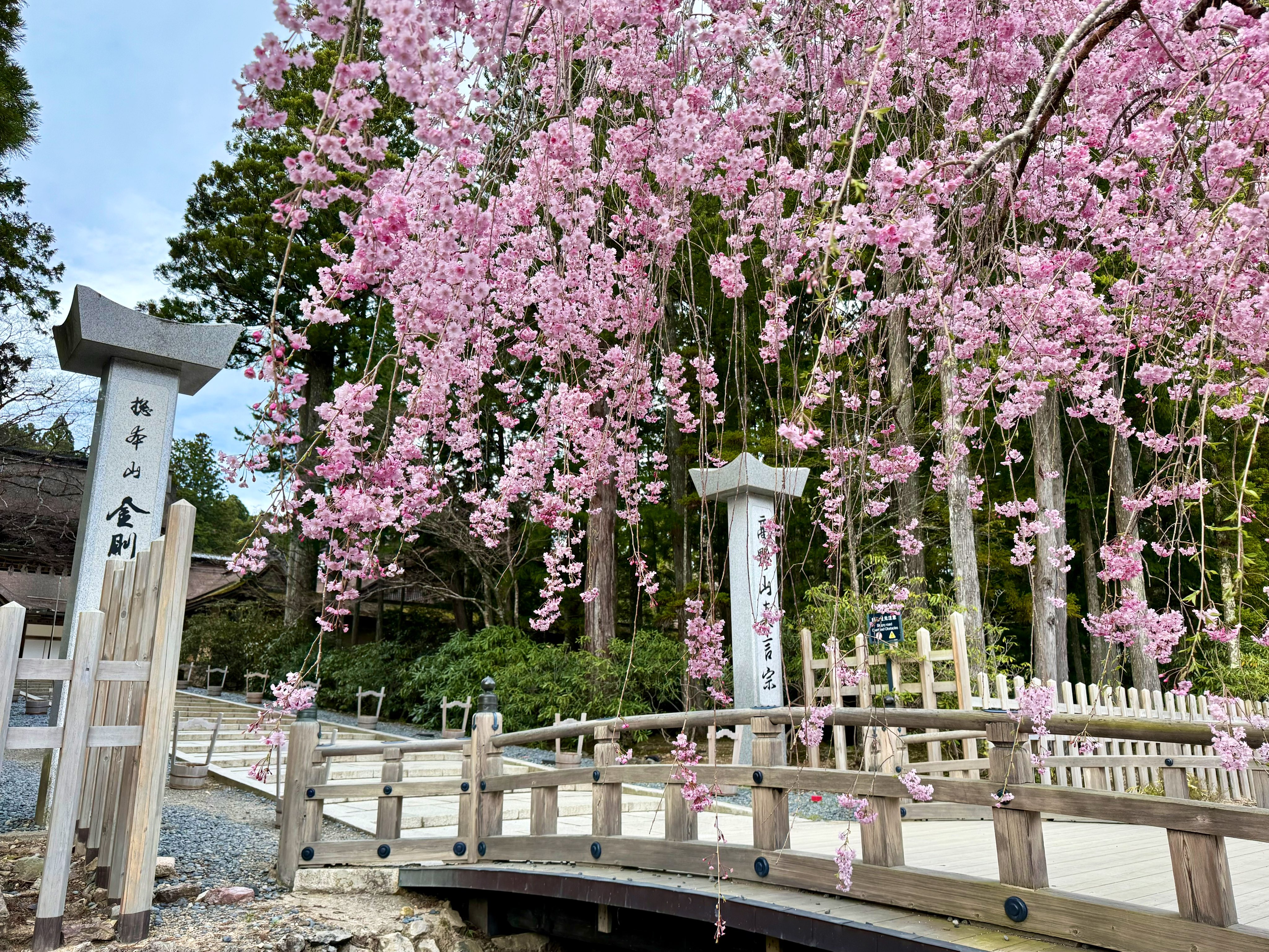 高野山 総本山金剛峯寺【公式】 (@Koya_Kongobuji) / X 高野山 総本山金剛峯寺【公式】 (@Koya_Kongobuji) / X