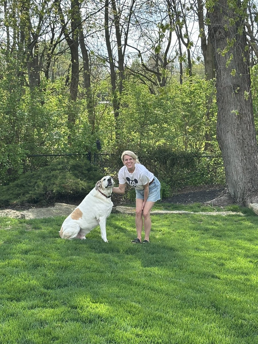 Crobb88's tweet photo. What a great Easter. Family, food and dogs, not a better way to spend our time! #stbernards #greatdanegreatpyraneesmix #redtailhawk https://t.co/VXPkcCr031