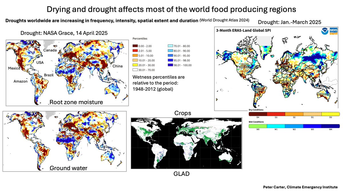 INCREASING WORLD DROUGHT
Drying &amp; drought affects most of world food producing regions Droughts worldwide are increasing in frequency, intensity, spatial extent and duration, with global climate change a major factor.
drought.gov/international
#drought #ClimateChange #globalwarming