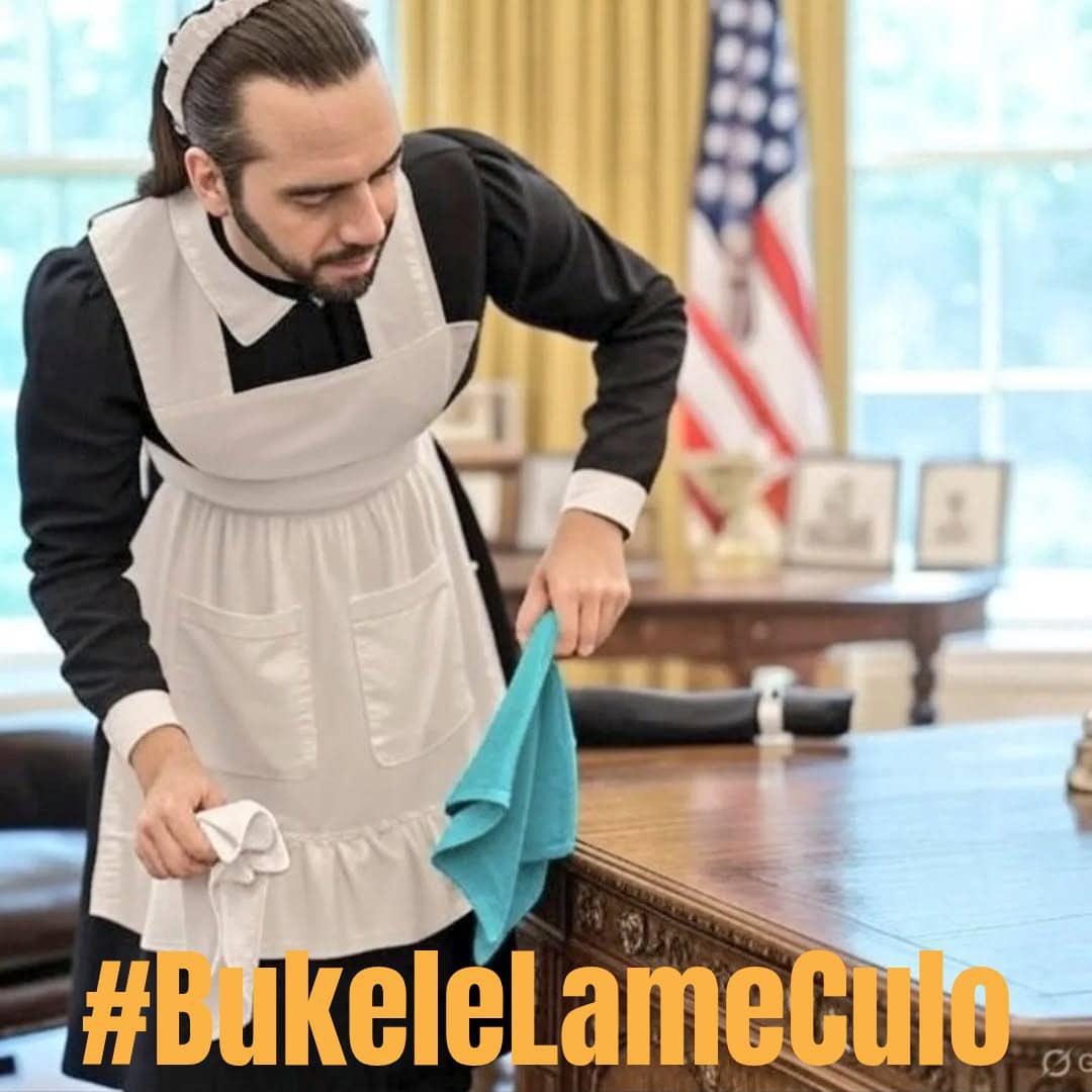 Toda una cachorra del imperio.

Bukele violador de DDHH.
#BukeleLameCulo 
#BukeleSecuestrador