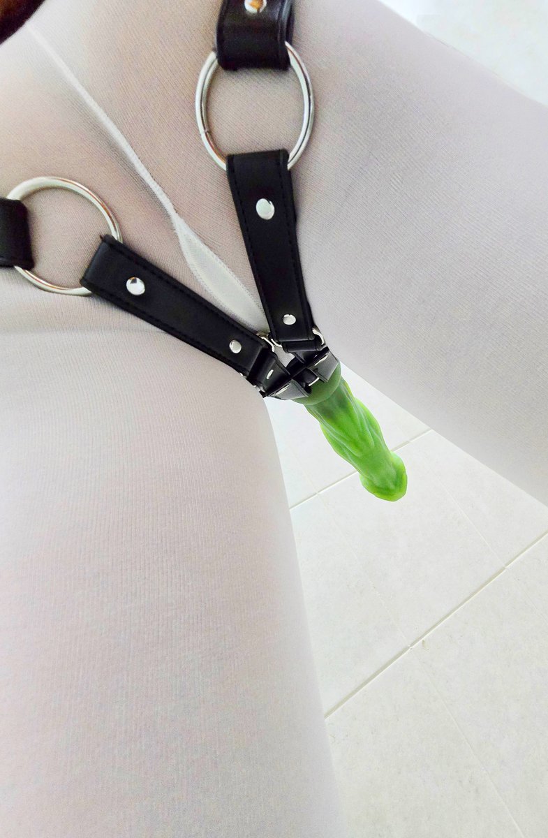 노토사우르 애자