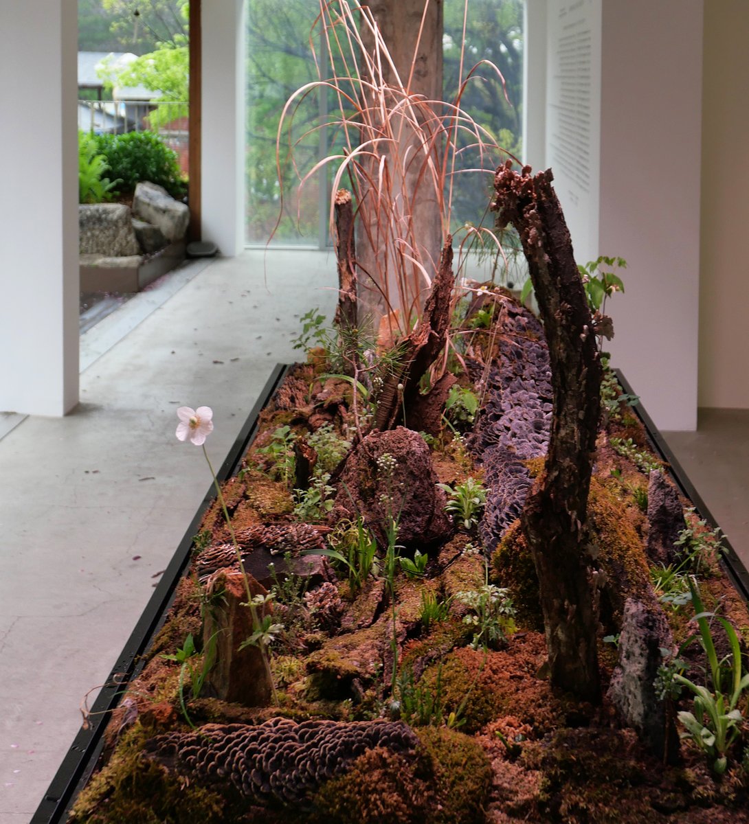 참혹한 진실을 직시하는 행위를 통해 기어이 희망을 발굴해내는 예술가의 초상을 만나게 됩니다. "영화 〈안드레이 루블료프〉에서 소년은 희망을...