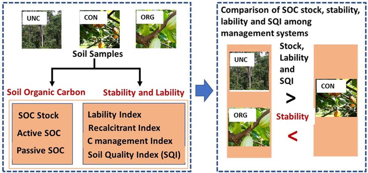 soileh2023's tweet photo. Editor's Choice: Differential impacts of organic and chemical fertilization on soil organic carbon pools and stability, and soil quality in cacao agroforestry
#soilactivator #soilhealth #SOC #agroforestry @soileh2023 @SoilValues @Soil_Science @SoilScienceAust @SOILGUARD_H2020 https://t.co/enQYaAZn8p