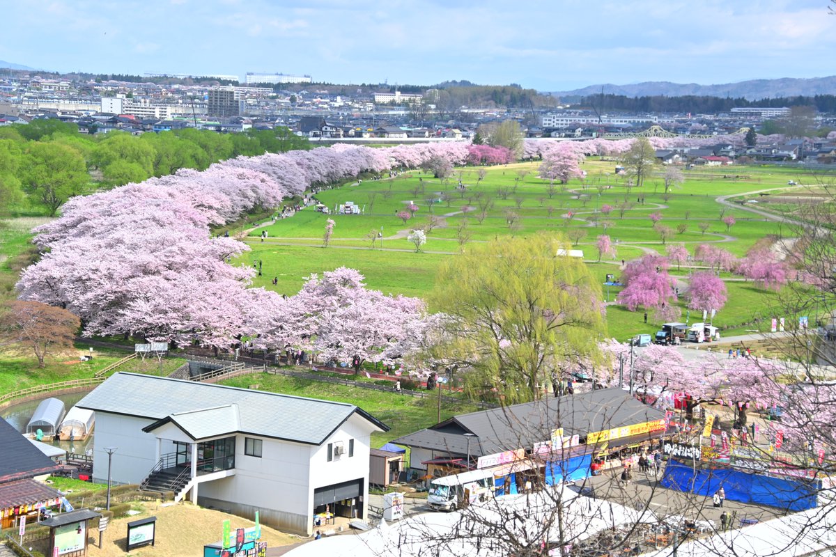 kitakami_kanko's tweet photo. 北上駅観光案内所です。  
北上展勝地　桜開花状況   
桜並木　満開  (一部散り始め）
一山園　3分咲き  
陣ケ丘　3分 ～満開    
民俗村　3分～満開 https://t.co/OVitrwV2Rc