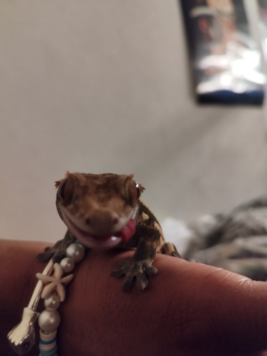 BaseBeJay's tweet image. Evil, balding creature