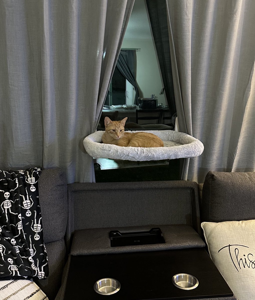 Kyle Hurd tweet media