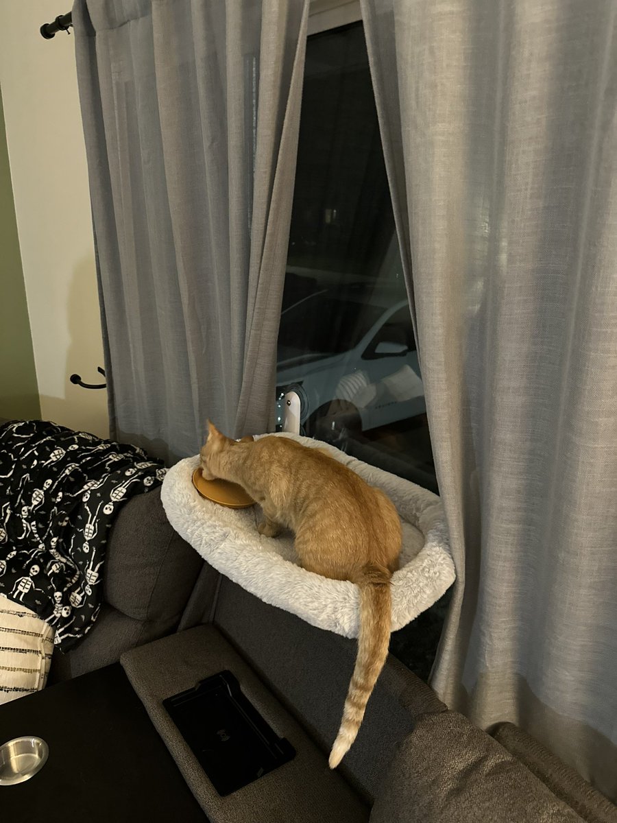 Kyle Hurd tweet media