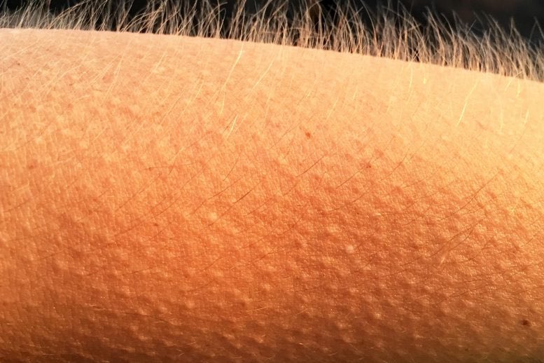 amor de verano, amor marihuano