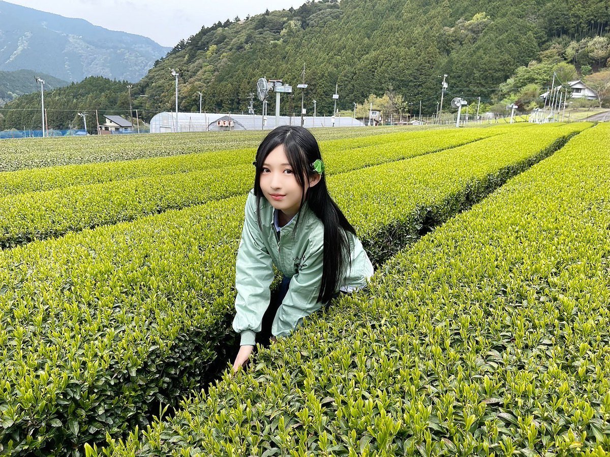 お知らせ🫖

御茶ノ水の楽器店で販売されている“楽茶”の生産農家「丹野園」さんとコラボ決定❕お茶の魅力を発信していきます🤍

▼取材記事こちら
tokyo-sports.co.jp/articles/-/341…  #川根茶の日