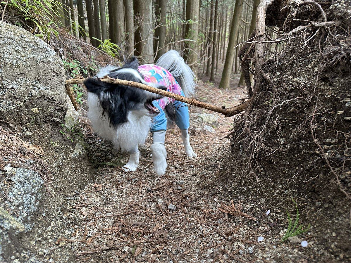 🎀𝐏𝐫𝐢𝐧𝐜𝐞𝐬𝐬 𝐑𝐮𝐛𝐲🎀 tweet media