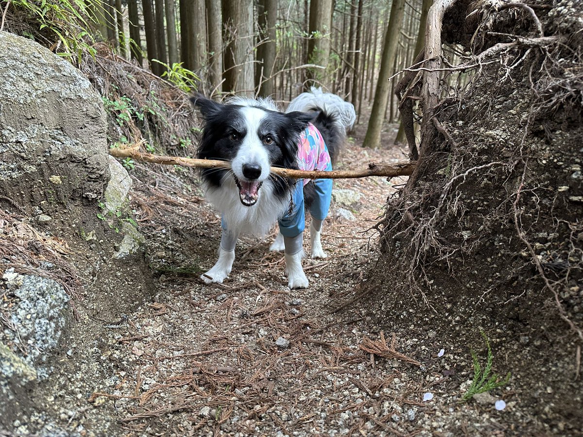 🎀𝐏𝐫𝐢𝐧𝐜𝐞𝐬𝐬 𝐑𝐮𝐛𝐲🎀 tweet media