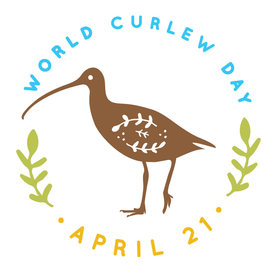 Wishing everyone, everywhere a very happy World Curlew Day! Love them, celebrate them, protect them. 💚#worldcurlewday