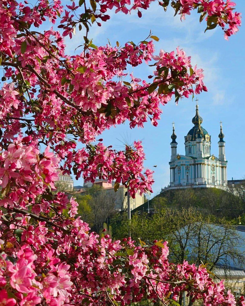 DigitalArtKyiv's tweet image. In spring, Kyiv is magically beautiful. You just look at the city, and it answers you with a look full of light. How I love you, my Kyiv. #Kiev #springmagic