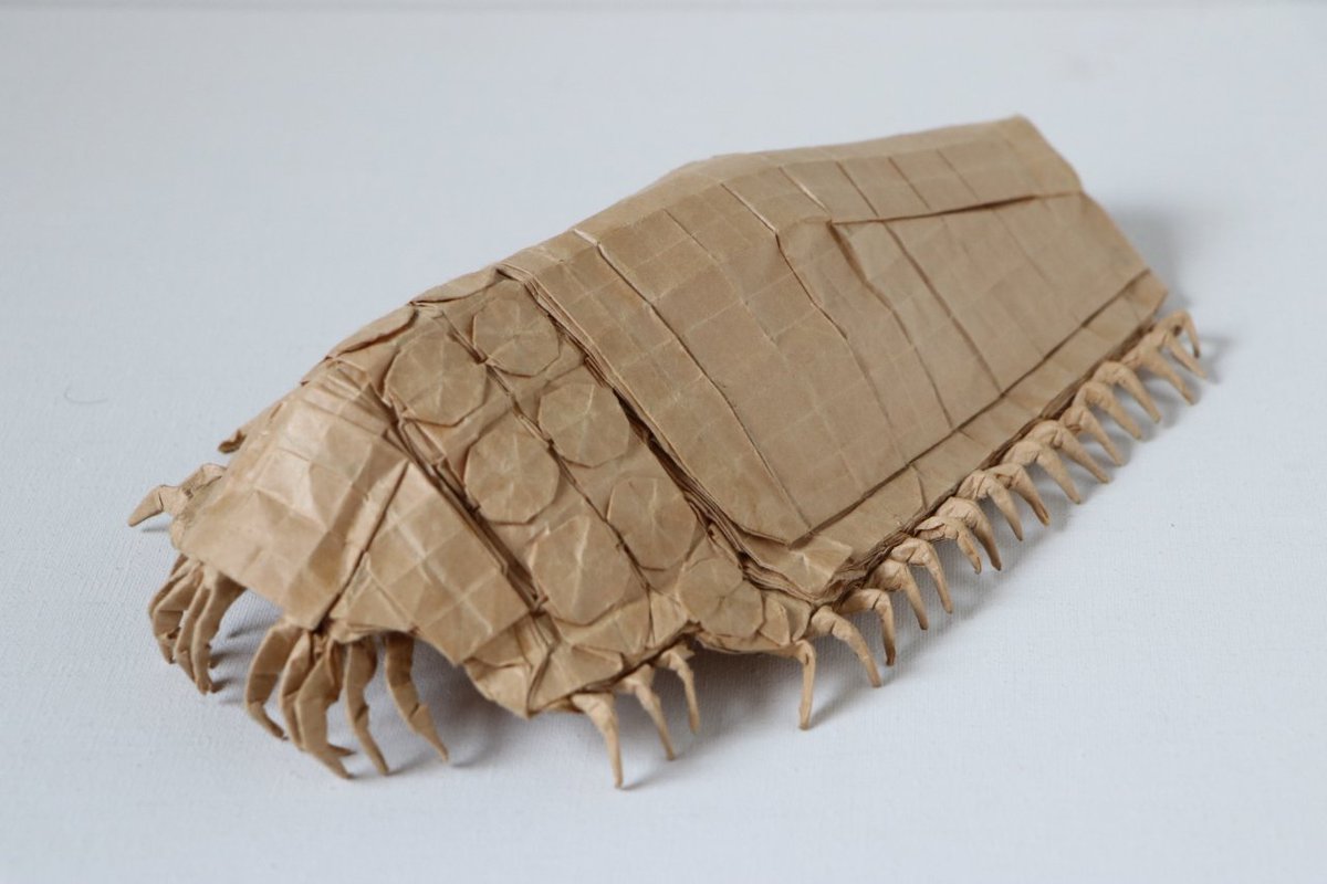 junxingliu75488's tweet photo. Folded Shuki Kato’s design: Ohmu
Folder:Me
Time spent: 48 hours
Paper used: Kraft paper
Date of folding: Several years ago
Inspired by my love for Hayao Miyazaki’s films, I folded this fantasy creature from *Nausicaä of the Valley of the Wind*.#origami #折り紙 #Ohmu https://t.co/sMlj7GGkpq