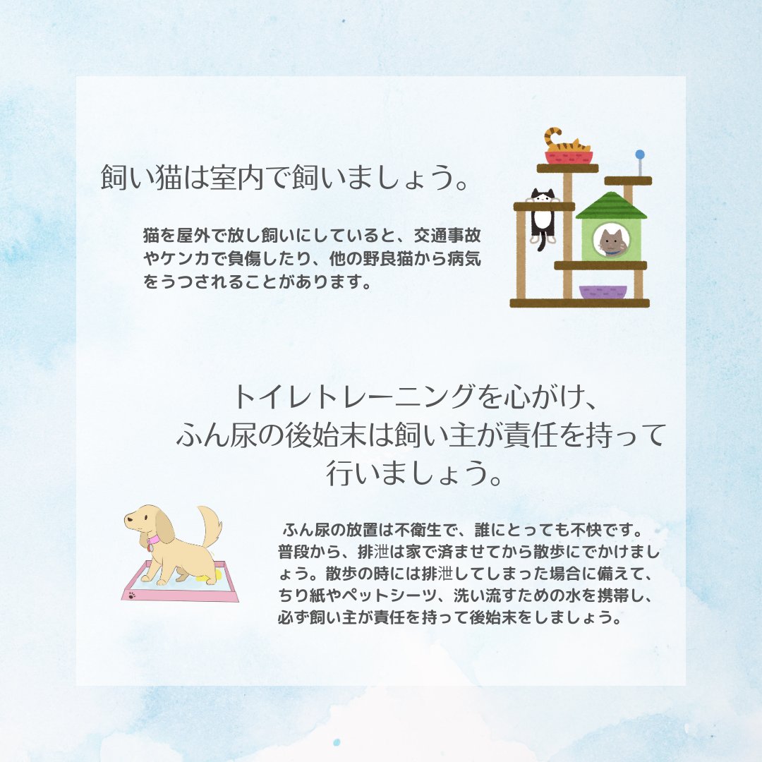 おおさかワンニャン通信 on X: おおさかワンニャン通信 on X: