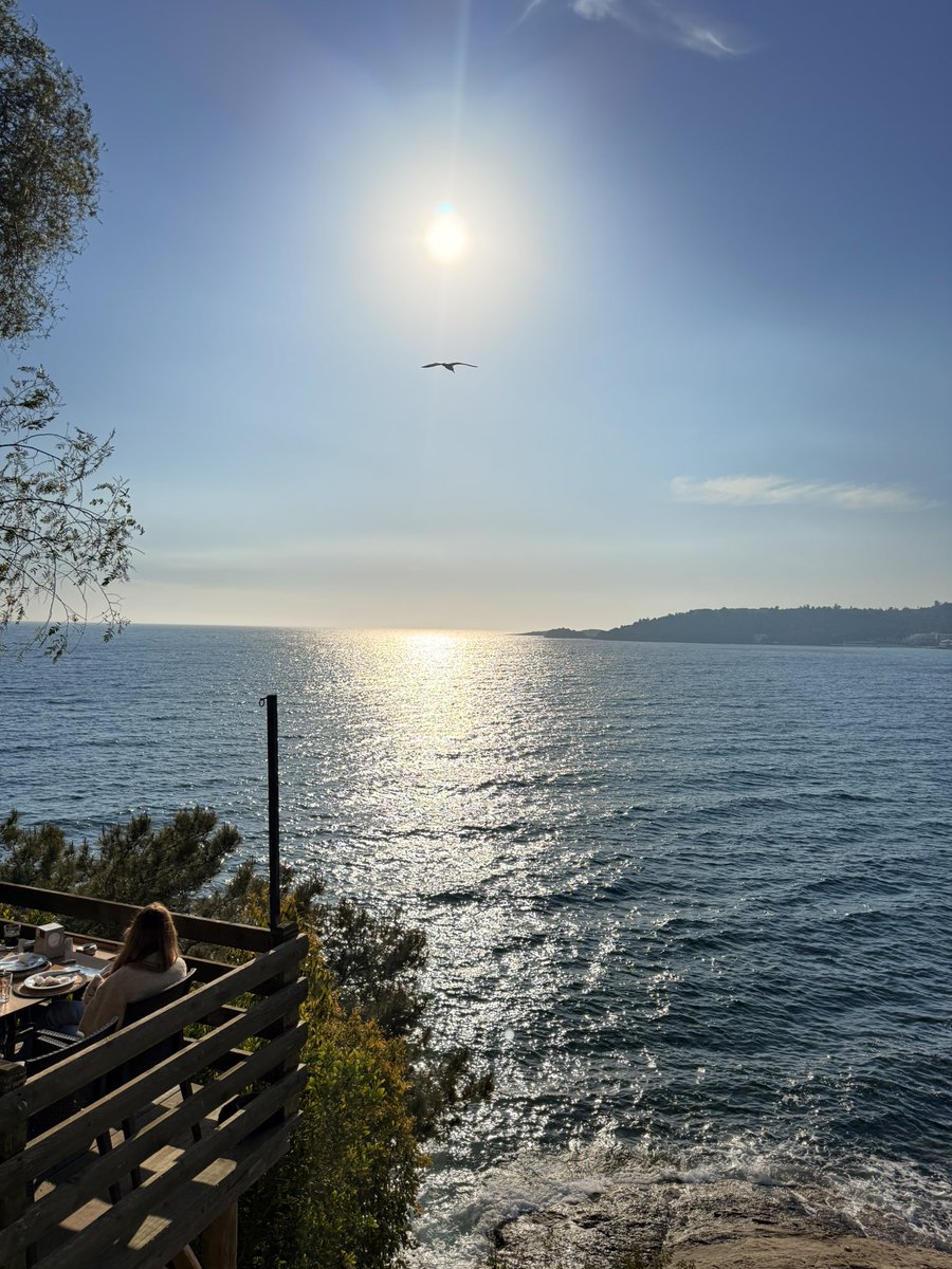 Hakan Ozcolak (@hakanozcolak) on Twitter photo 