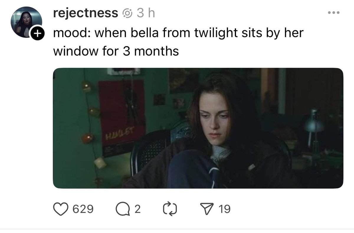 Maria Alejandra Checa (@marrescatadogs) on Twitter photo 