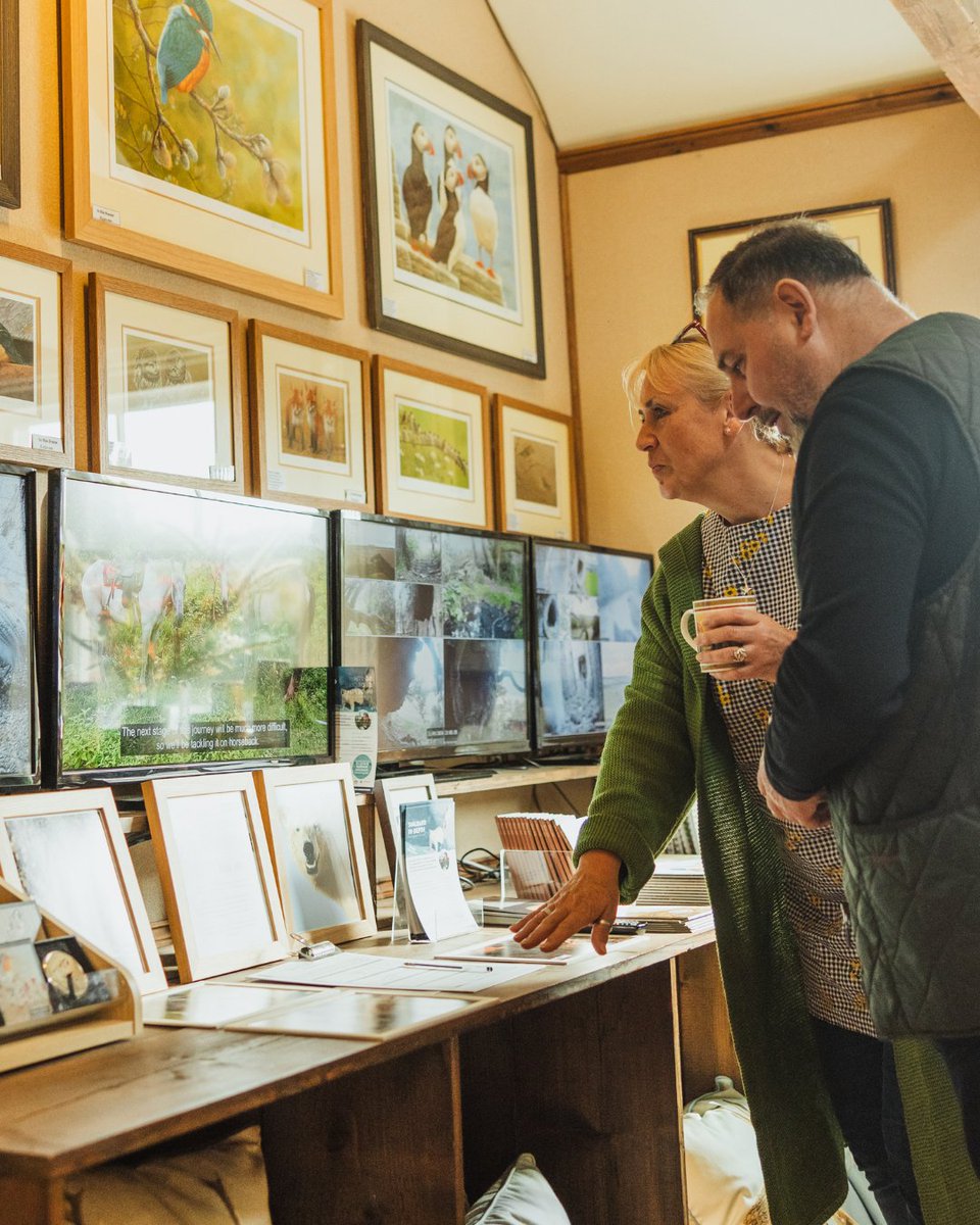 Enjoy the sights and sounds of spring at the <a href="/RobertEFuller/">Robert E Fuller</a> Gallery. Experience the awakening of nature through art and film as Robert's latest free event documents the season in astonishing detail, from wrens perched on spring blossom, to hares boxing loom.ly/M1S04pw