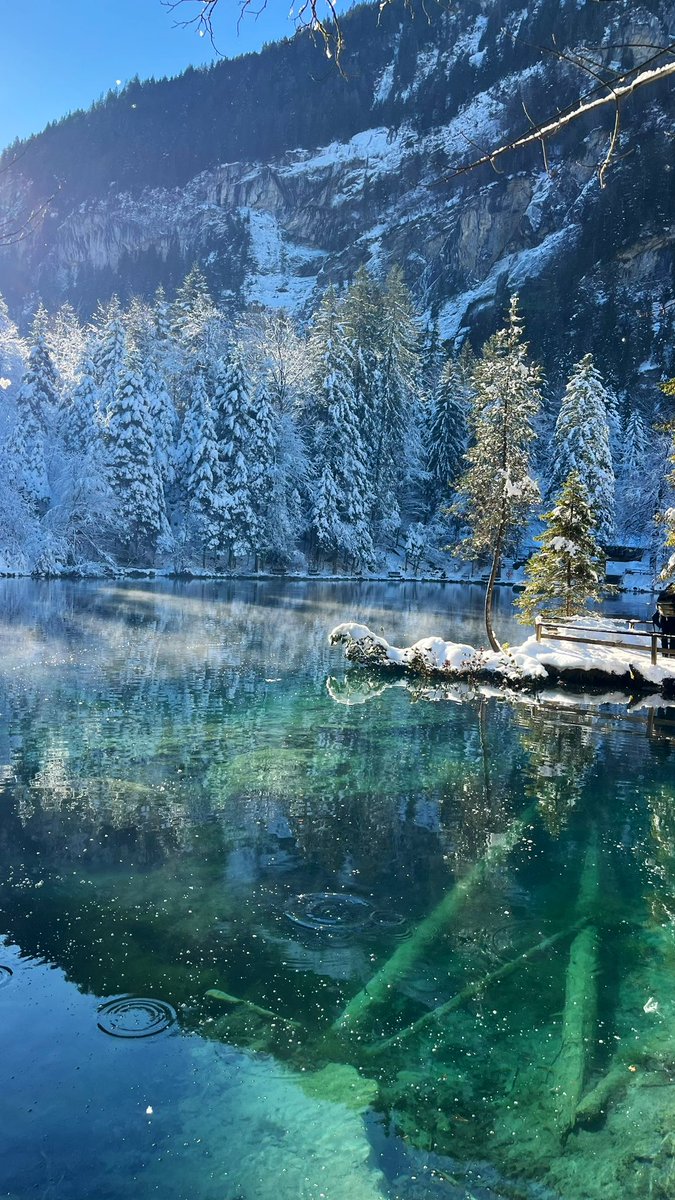 Romain Troussel tweet media