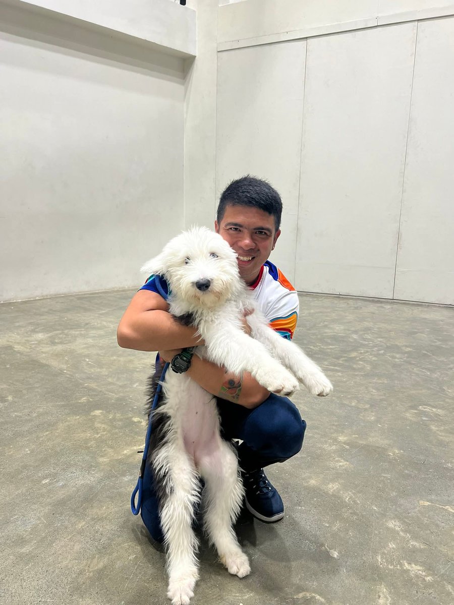 AshMatt_intl's tweet photo. Mila with furpawrents, @JustSarahG and @mateoguidicelli, and trainer Tristan Huertas. πΆ
πΈ: Milo & Friends https://t.co/h9g2eaG3v2