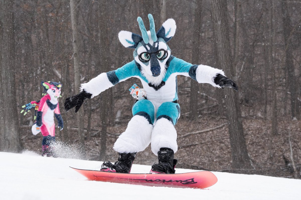 Flow the Wolf - F2 tweet media