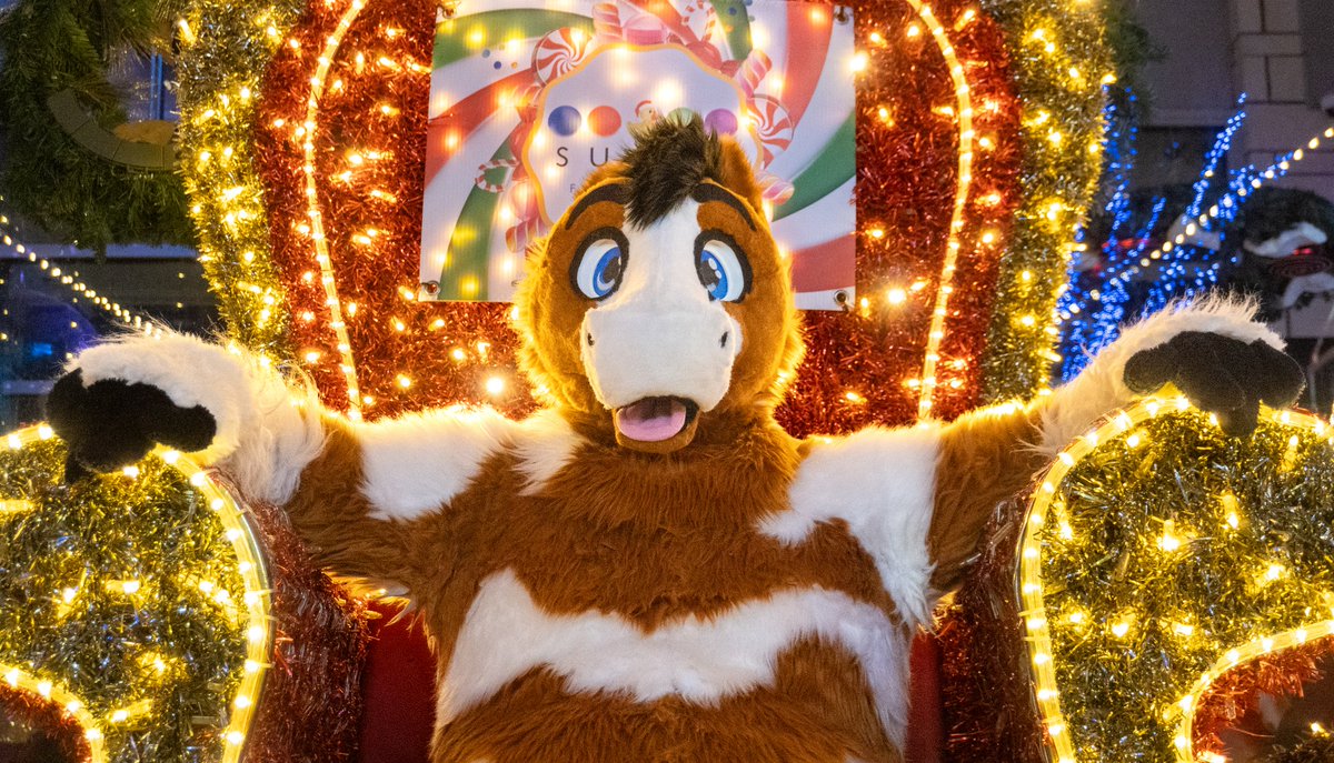 Flow the Wolf - F2 tweet media