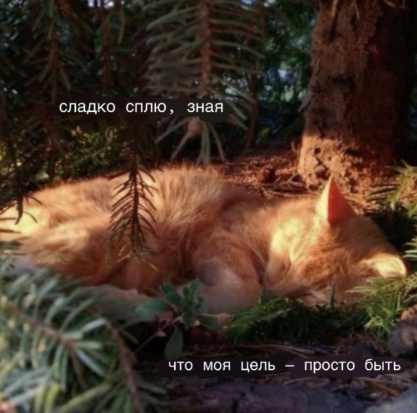 Brave_firefly's tweet photo. #мемдня https://t.co/ekEJ0EyDjY