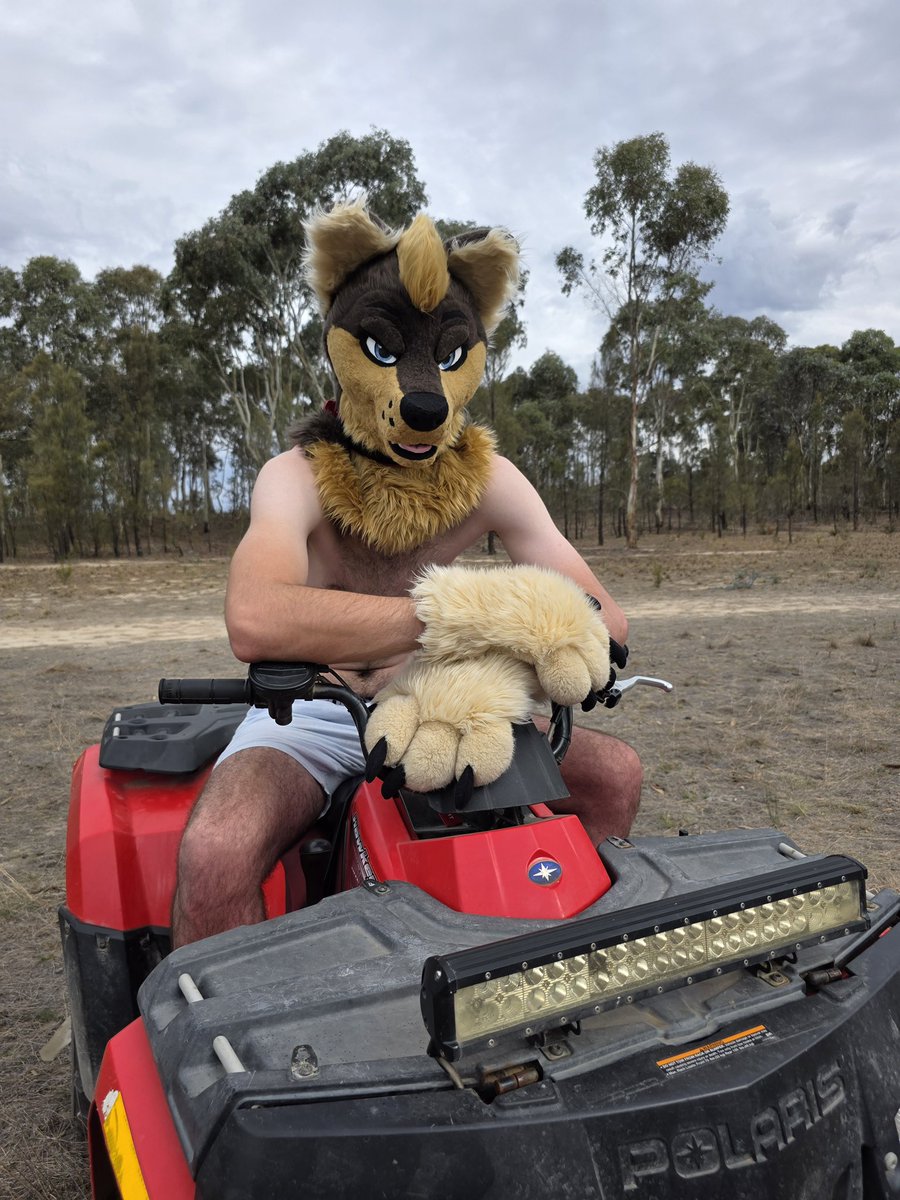 Rusty (@oxidiseddingo) on Twitter photo You wanna come for a ride?
I promise I'll make it worth your while
πΈ <a href="/PupStripes/">Stripes π¦πΆ</a> You wanna come for a ride?
I promise I'll make it worth your while
πΈ <a href="/PupStripes/">Stripes π¦πΆ</a>