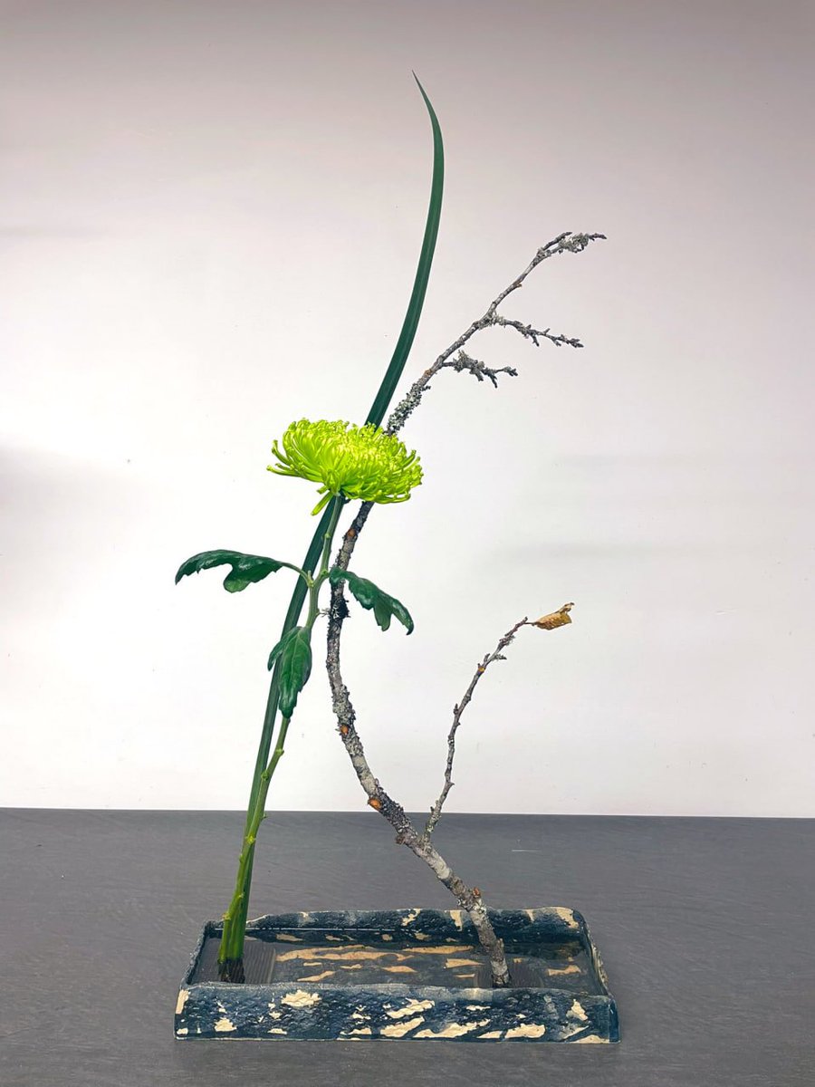 TechprozoneI's tweet image. 花舞は形はシンプルですが、立体的に仕上げるのが一番大変です。花と空間の動きがわびさびを醸し出し、空間を明るくします。💞