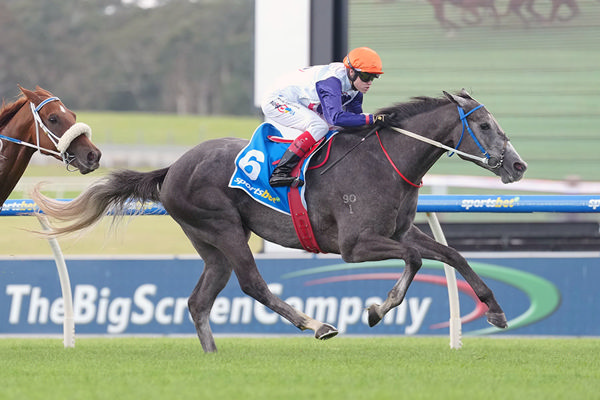 Tara Madgwick (@breednet) on Twitter photo Four winners in four days for D'Argento - 55k MM Adelaide purchase Figlio D'Argento salutes at Sandown - Bowness to offer 12 by his sire at Inglis HTBA Sale breednet.com.au/news/38645/fig… <a href="/BownessStud/">Bowness Stud & Watershed Farm</a> <a href="/BownessBoss/">John North</a> <a href="/inglis_sales/">Inglis</a> <a href="/mmsnippets/">Magic Millions</a> <a href="/MarkKavanaghRac/">Mark Kavanagh Racing</a> Four winners in four days for D'Argento - 55k MM Adelaide purchase Figlio D'Argento salutes at Sandown - Bowness to offer 12 by his sire at Inglis HTBA Sale breednet.com.au/news/38645/fig… <a href="/BownessStud/">Bowness Stud & Watershed Farm</a> <a href="/BownessBoss/">John North</a> <a href="/inglis_sales/">Inglis</a> <a href="/mmsnippets/">Magic Millions</a> <a href="/MarkKavanaghRac/">Mark Kavanagh Racing</a>