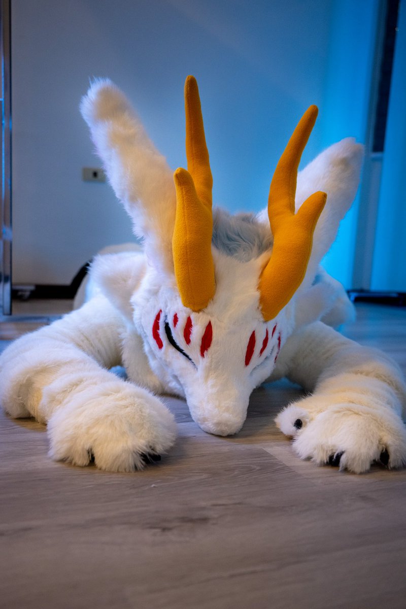 週一的精神狀態
#有兽焉 
📷:<a href="/Ebiroru/">Ebiroru Wolf</a>