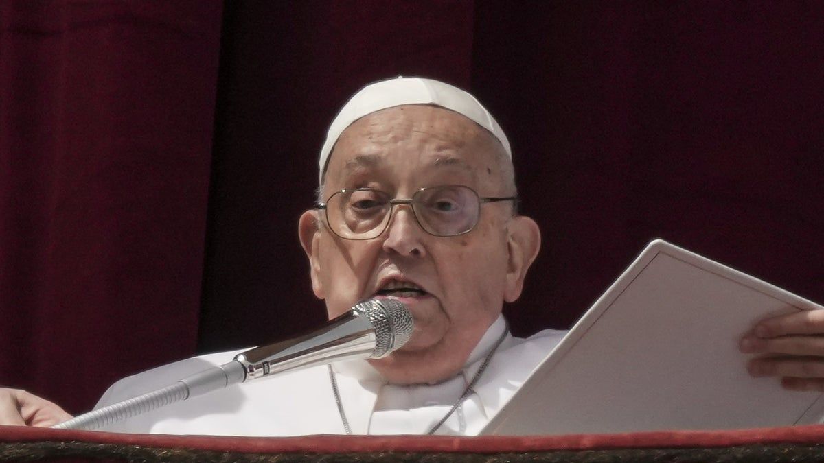 Helsingborgs Dagblad tweet media