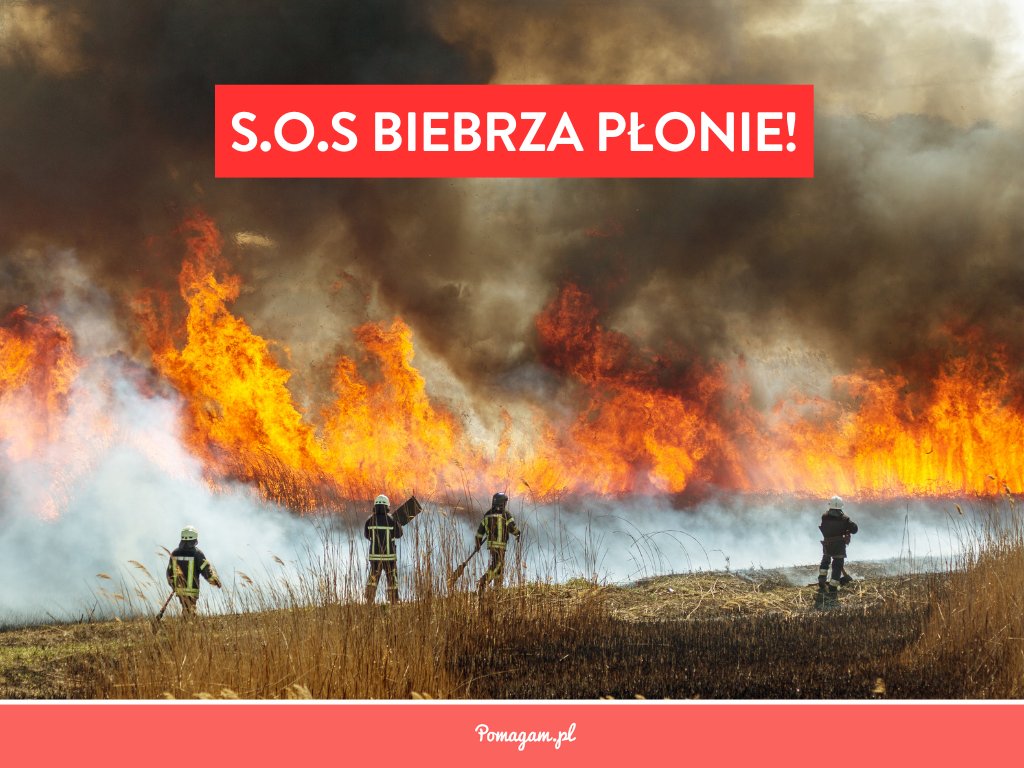 Pomagam.pl (@pomagam) on Twitter photo Pożar pochłania największy park narodowy w Polsce. Biebrza płonie 💔. Działają strażacy, śmigłowce, wojsko. Ale potrzeba nas wszystkich. 🔥 Wesprzyj zbiórkę Fundacji <a href="/pomagam/">Pomagam.pl</a> pomagam.pl/biebrza
<a href="/LPanstwowe/">Lasy Państwowe</a> <a href="/OnetWiadomosci/">Onet Wiadomości</a> <a href="/Fakt_pl/">Fakt</a> <a href="/FaktyTVN/">Fakty TVN</a> <a href="/RMF24pl/">Fakty RMF FM</a> <a href="/se_pl/">Super Express</a> <a href="/gazetapl_news/">Gazeta.pl</a> Pożar pochłania największy park narodowy w Polsce. Biebrza płonie 💔. Działają strażacy, śmigłowce, wojsko. Ale potrzeba nas wszystkich. 🔥 Wesprzyj zbiórkę Fundacji <a href="/pomagam/">Pomagam.pl</a> pomagam.pl/biebrza
<a href="/LPanstwowe/">Lasy Państwowe</a> <a href="/OnetWiadomosci/">Onet Wiadomości</a> <a href="/Fakt_pl/">Fakt</a> <a href="/FaktyTVN/">Fakty TVN</a> <a href="/RMF24pl/">Fakty RMF FM</a> <a href="/se_pl/">Super Express</a> <a href="/gazetapl_news/">Gazeta.pl</a>