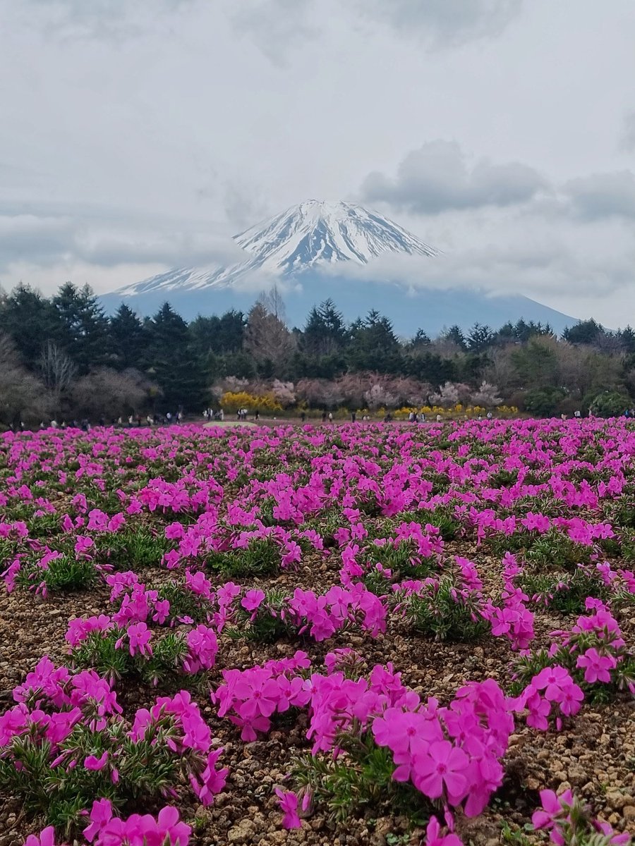両親が日本に来たから一緒にバイク旅行しています
