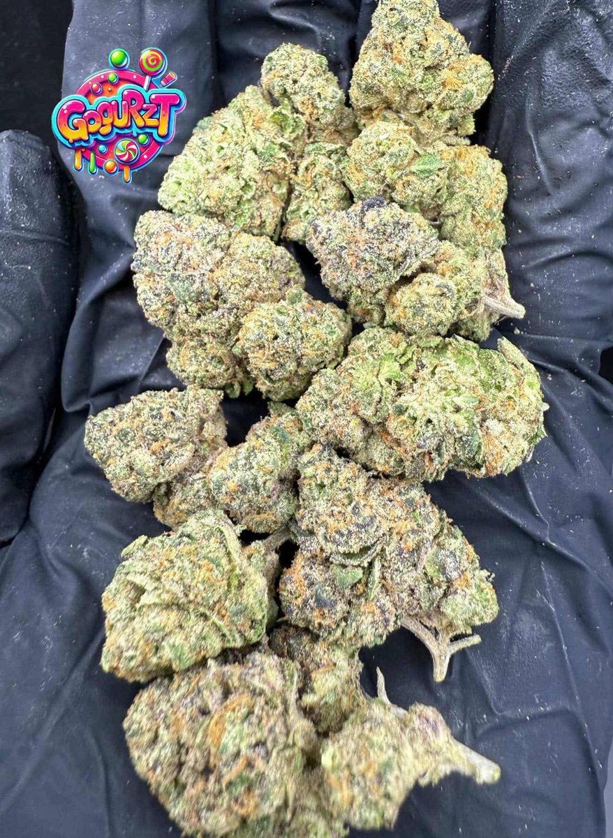 devilcannabis's tweet photo. Pro ไซส์รวม topshelf/mid/pop 
ขีด2777 ครึ่งขีด 1666 ลิ้งกลุ่ม👇
https://t.co/7dfswsaImt
 #กัญชาออแกนิค  #og #กัญชาindoor #กัญชาตราด #กัญชาจันทบุรี #กัญชาระยอง #กัญชาฉะเชิงเทรา #กัญชาปราจีนบุรี #กัญชาสระแก้ว #กัญชาบึงกาฬ #กัญชานครพนม #กัญชามุกดาหาร #กัญชาอำนาจเจริญ https://t.co/1SIOtZ89uT