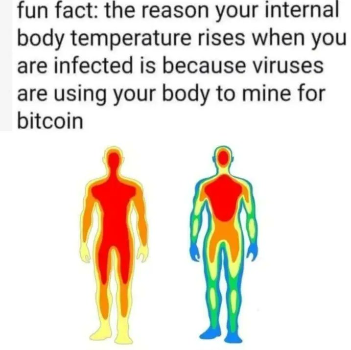 CatManitarMike's tweet image. 