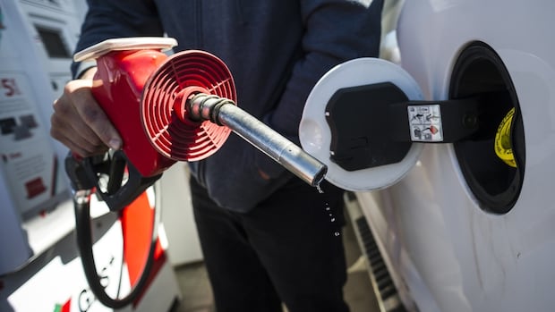 National Newswatch (@natnewswatch) on Twitter photo Last carbon tax rebate arrives Tuesday, but Finance Canada won't say how much it costs, <a href="/CBCDavid/">David Thurton πΉπΉπ¨π¦</a> reports. cbc.ca/news/politics/β¦
Find out more at nationalnewswatch.com Last carbon tax rebate arrives Tuesday, but Finance Canada won't say how much it costs, <a href="/CBCDavid/">David Thurton πΉπΉπ¨π¦</a> reports. cbc.ca/news/politics/β¦
Find out more at nationalnewswatch.com