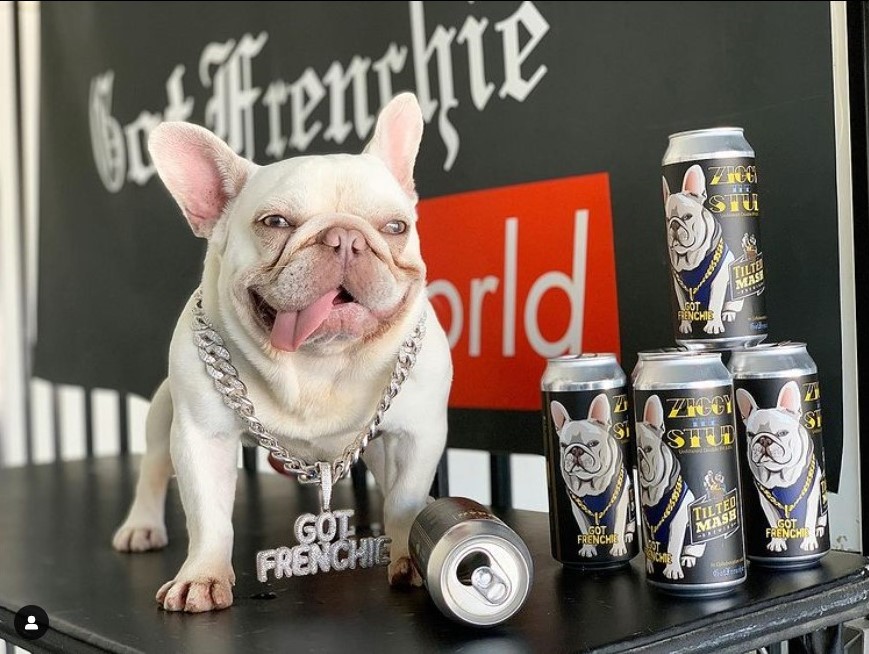 GotFrenchie Club tweet media