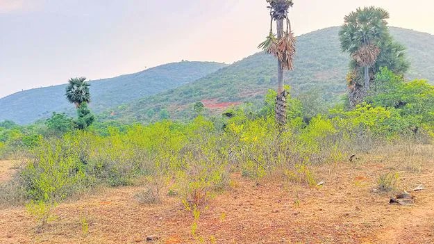 The Andhra Pradesh government is likely to allocate 80 acres of land at Tarluvada to Google for its data center in Visakhapatnam.
#Vizag #InvestInAP #AndhraPradesh