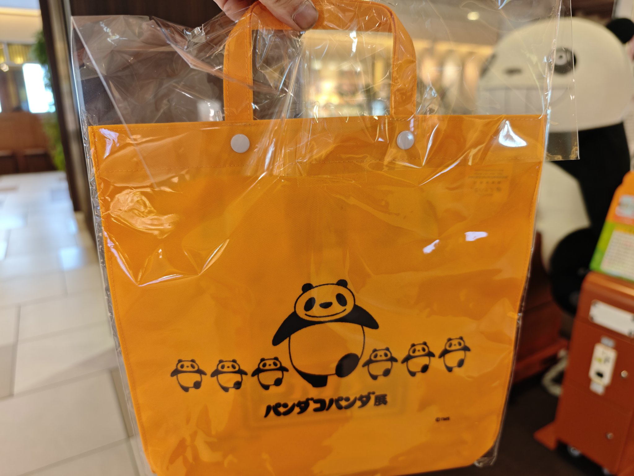 いさお静岡応援団(´∀｀)つ🍵 on X: 