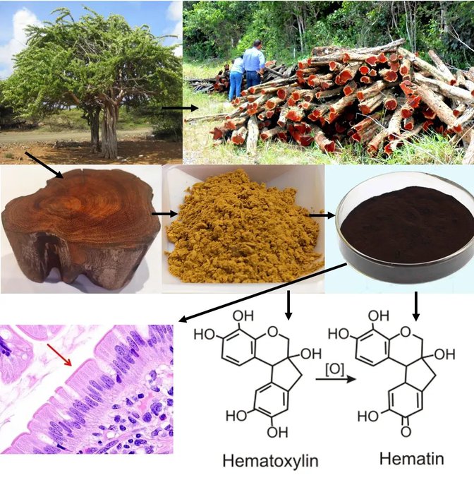 Image in tweet by The Vigilant Fox 🦊