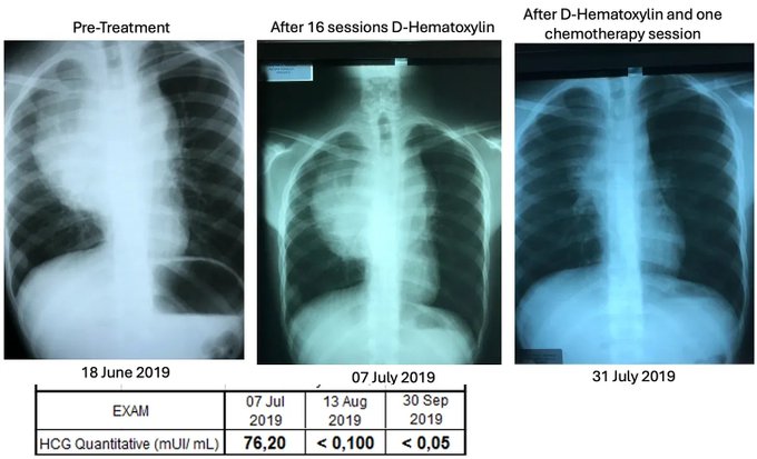 Image in tweet by The Vigilant Fox 🦊