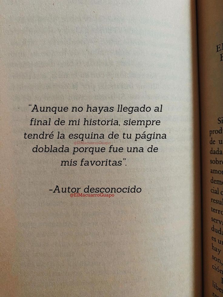 Escrito_Ideal's tweet image. 