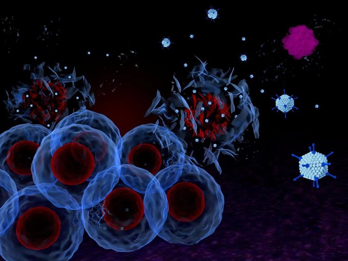 Image in tweet by The Vigilant Fox 🦊