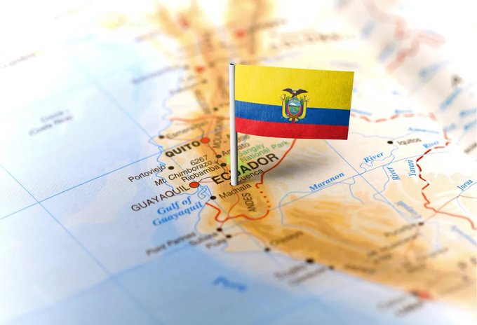 Image in tweet by The Vigilant Fox 🦊