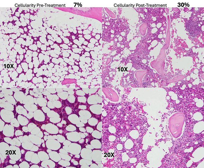 Image in tweet by The Vigilant Fox 🦊